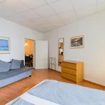 Spacious And Modern Furnished Apartment For 10 Guests