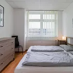 Spacious And Modern Furnished Apartment For 10 Guests